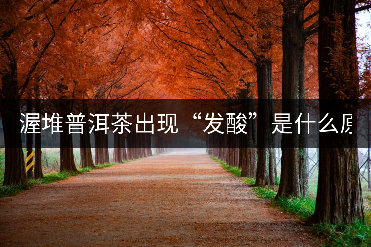 渥堆普洱茶出現(xiàn)“發(fā)酸”是什么原因？