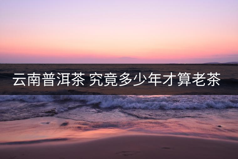 云南普洱茶 究竟多少年才算老茶樹?