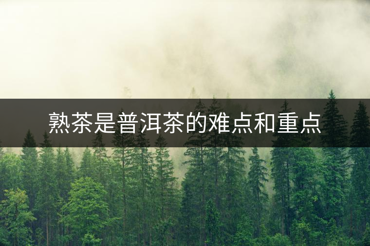 熟茶是普洱茶的難點(diǎn)和重點(diǎn) 熟茶是普洱茶的難點(diǎn)和重點(diǎn)