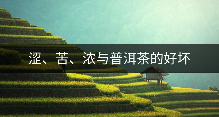 澀、苦、濃與普洱茶的好壞