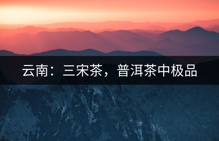 云南：三宋茶，普洱茶中極品