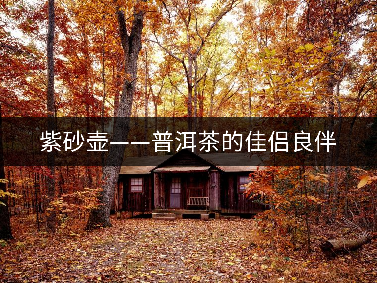 紫砂壺——普洱茶的佳侶良伴