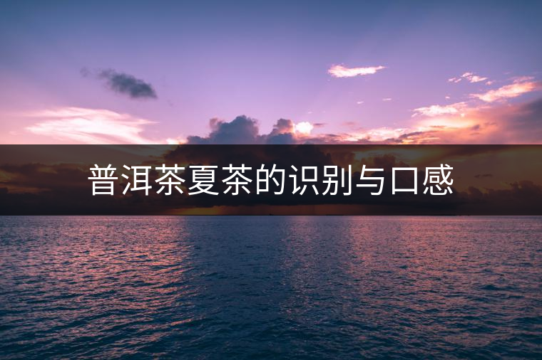 普洱茶夏茶的識(shí)別與口感