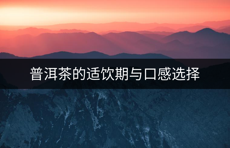 普洱茶的適飲期與口感選擇