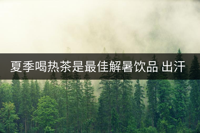 夏季喝熱茶是最佳解暑飲品 出汗可獲涼爽 夏季喝熱茶是最佳解暑飲品 出汗可獲涼爽