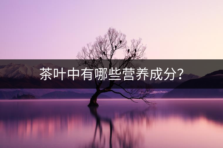 茶葉中有哪些營養(yǎng)成分？