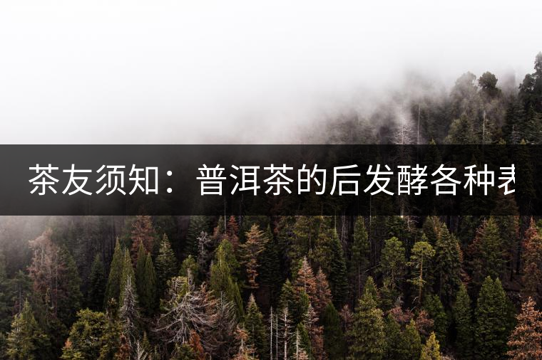茶友須知：普洱茶的后發(fā)酵各種表現(xiàn) 喝普洱有益健康的奧妙所在！