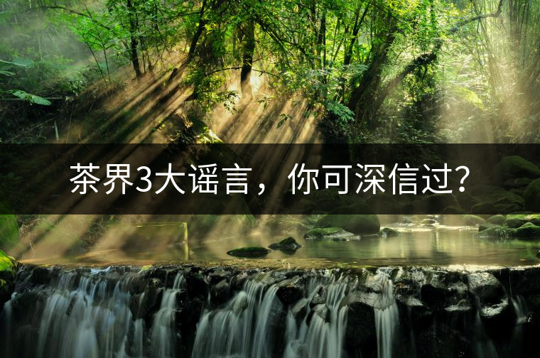 茶界3大謠言，你可深信過(guò)？