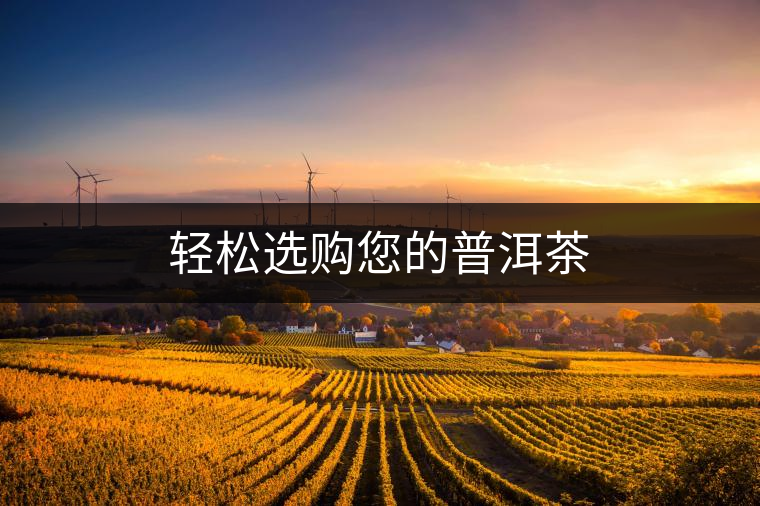 輕松選購(gòu)您的普洱茶