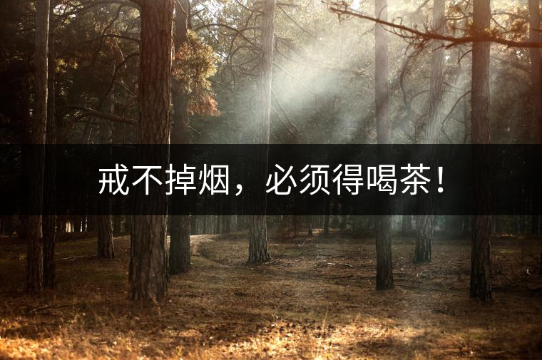 戒不掉煙，必須得喝茶！