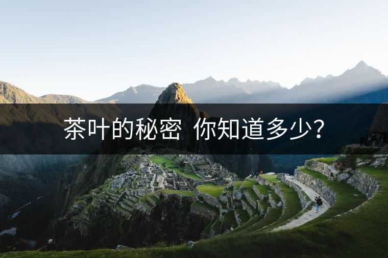 茶葉的秘密  你知道多少？