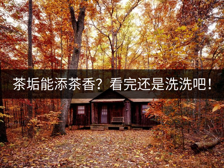 茶垢能添茶香？看完還是洗洗吧！