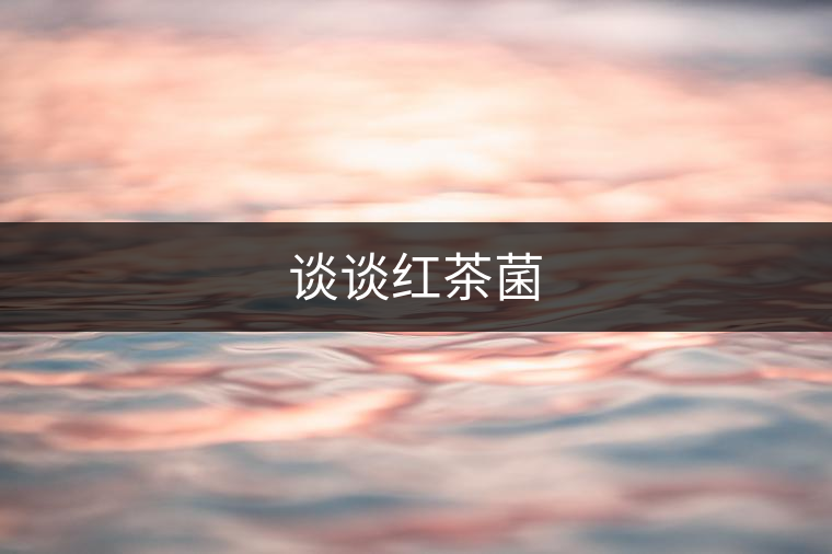 談談紅茶菌