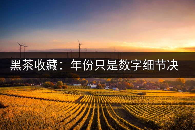 黑茶收藏：年份只是數(shù)字細(xì)節(jié)決定價(jià)值