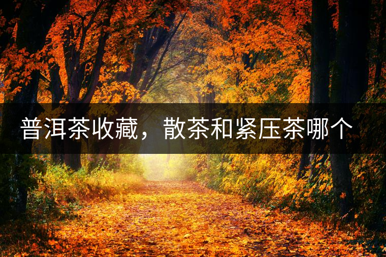 普洱茶收藏，散茶和緊壓茶哪個(gè)更好？