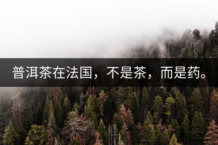 普洱茶在法國(guó)，不是茶，而是藥。