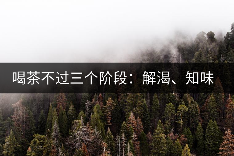 喝茶不過三個階段：解渴、知味、怡情