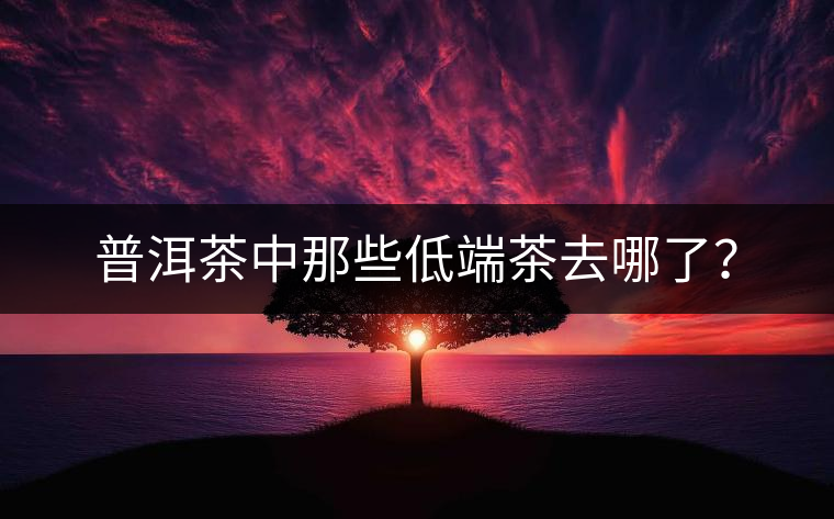 普洱茶中那些低端茶去哪了？