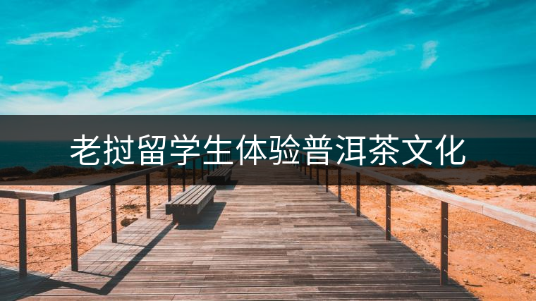 老撾留學生體驗普洱茶文化 老撾留學生體驗普洱茶文化