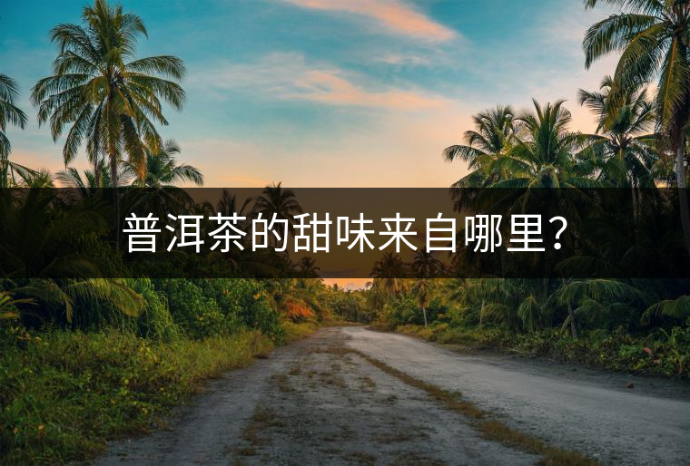 普洱茶的甜味來自哪里？