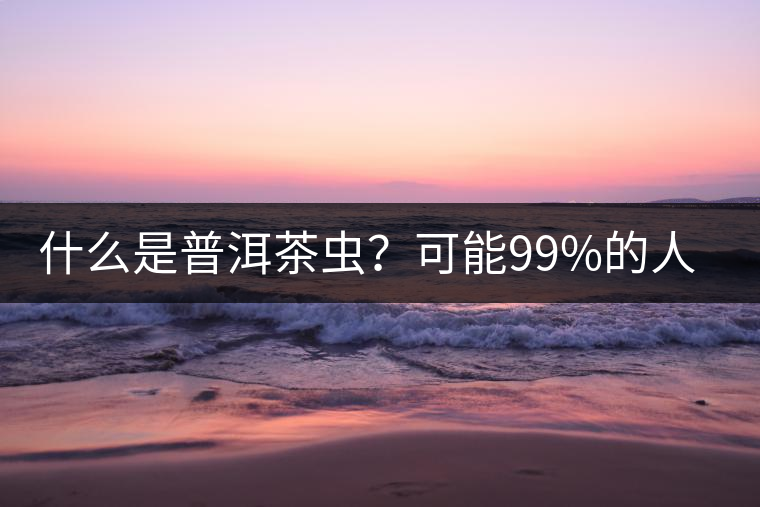 什么是普洱茶蟲？可能99%的人都不知道