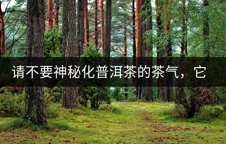 請不要神秘化普洱茶的茶氣，它是科學(xué)的存在