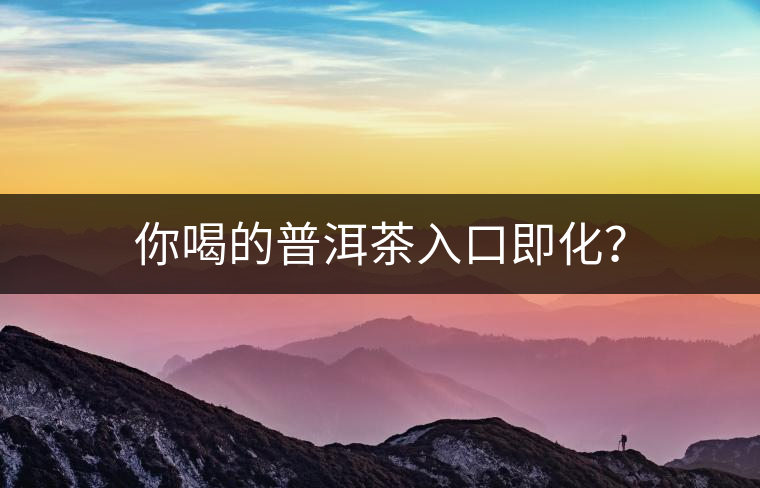 你喝的普洱茶入口即化？