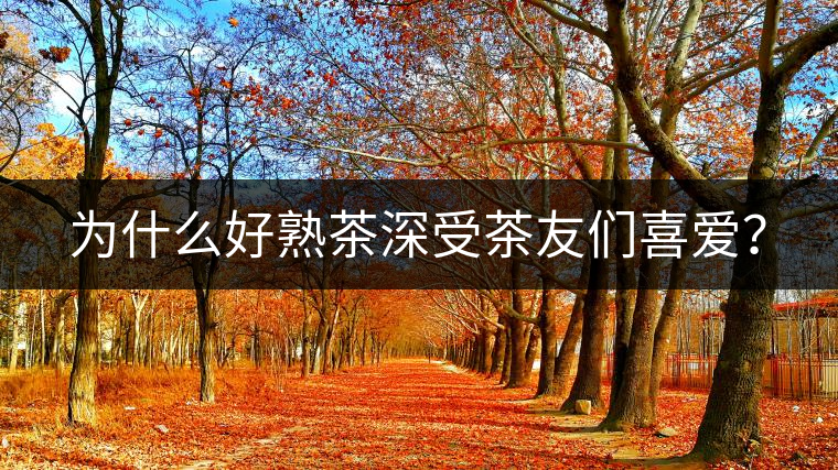 為什么好熟茶深受茶友們喜愛？