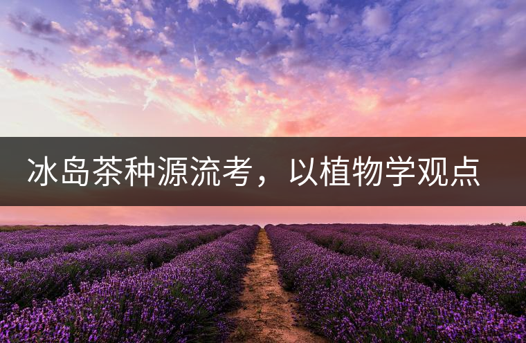 冰島茶種源流考，以植物學(xué)觀點(diǎn)解讀冰島茶