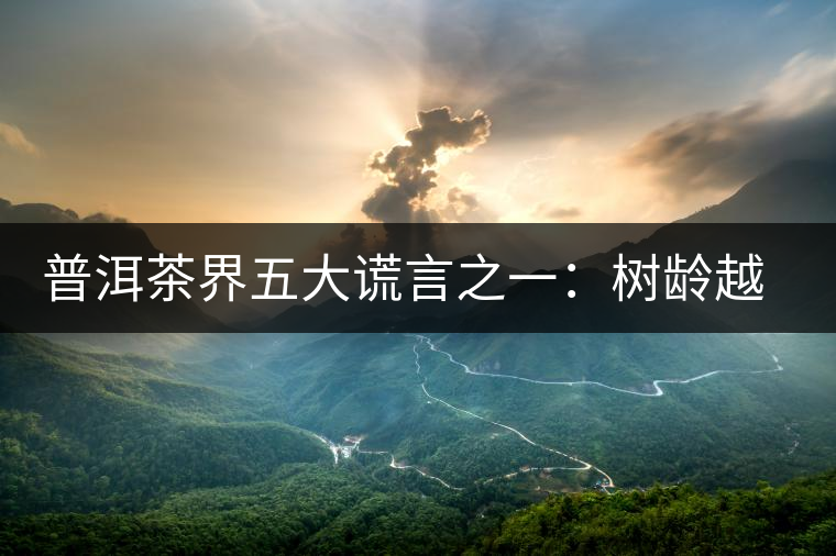 普洱茶界五大謊言之一：樹齡越高，品質(zhì)越好