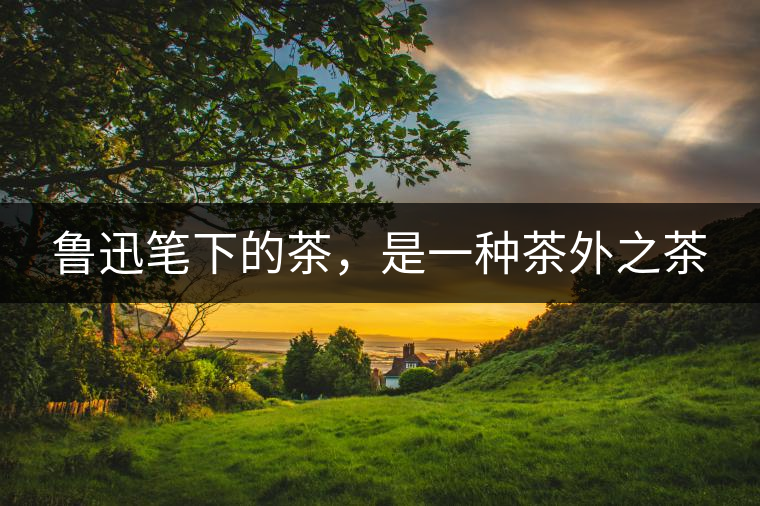 魯迅筆下的茶，是一種茶外之茶