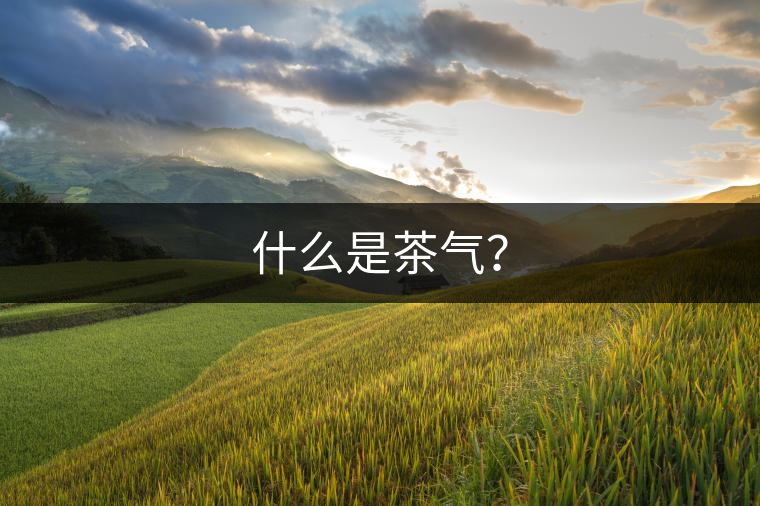 什么是茶氣？