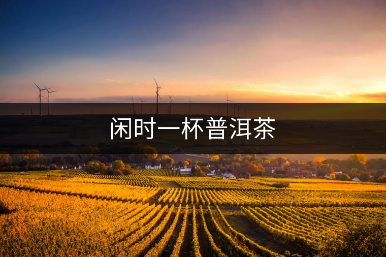 閑時(shí)一杯普洱茶