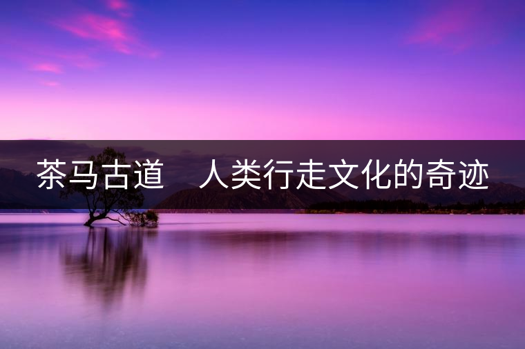 茶馬古道　人類行走文化的奇跡