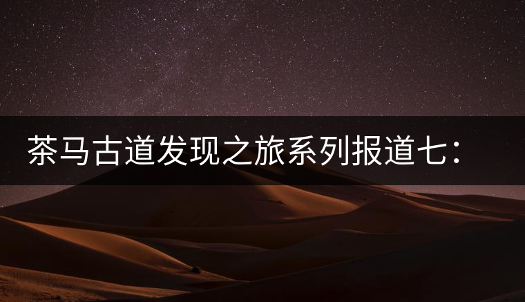 茶馬古道發(fā)現(xiàn)之旅系列報道七:漢藏血脈普洱路 茶馬古道發(fā)現(xiàn)之旅系列報道七:漢藏血脈普洱路