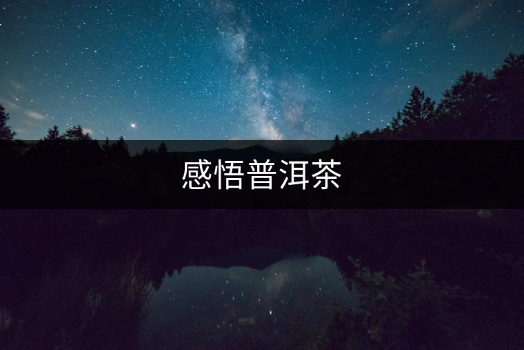 感悟普洱茶