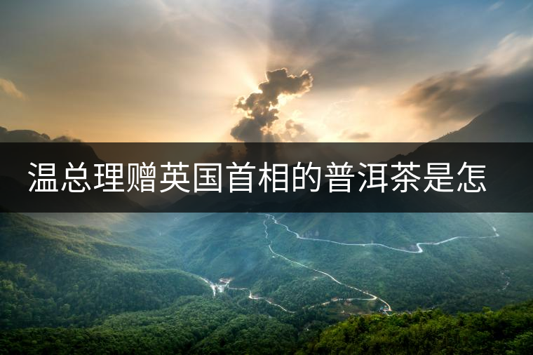 溫總理贈(zèng)英國(guó)首相的普洱茶是怎么制作的？