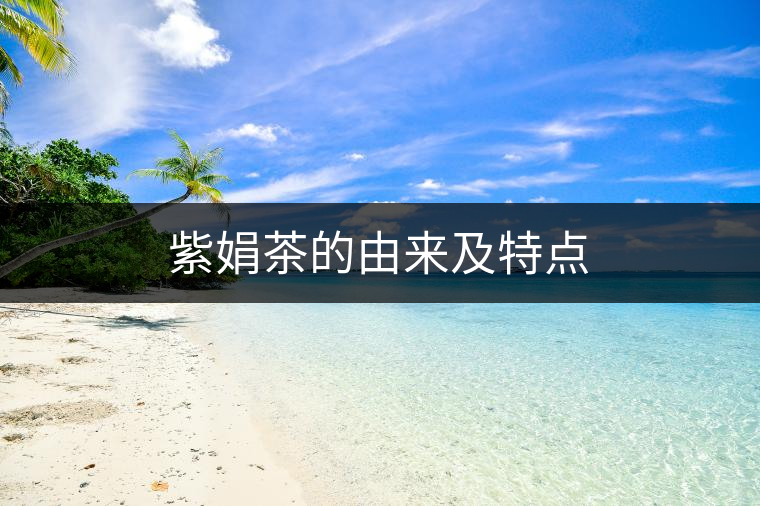 紫娟茶的由來(lái)及特點(diǎn) 紫娟茶的由來(lái)及特點(diǎn)