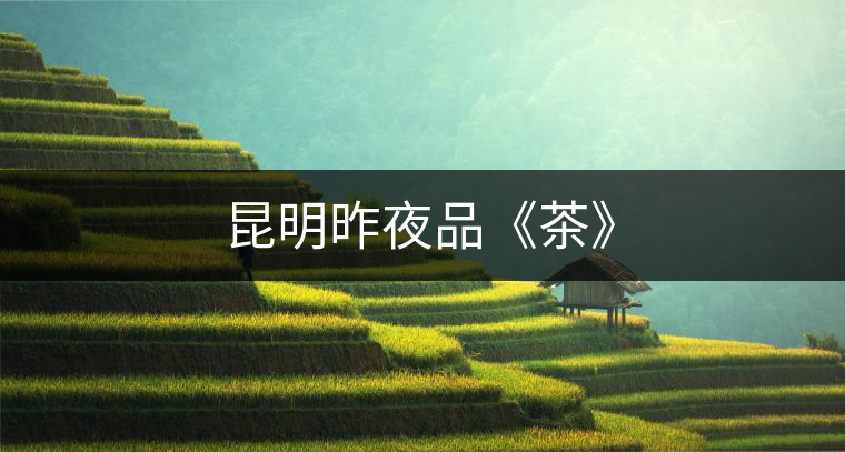 昆明昨夜品《茶》