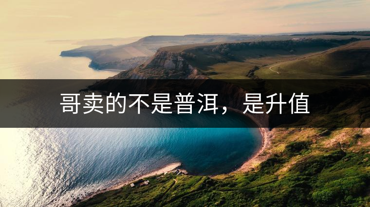 哥賣的不是普洱，是升值