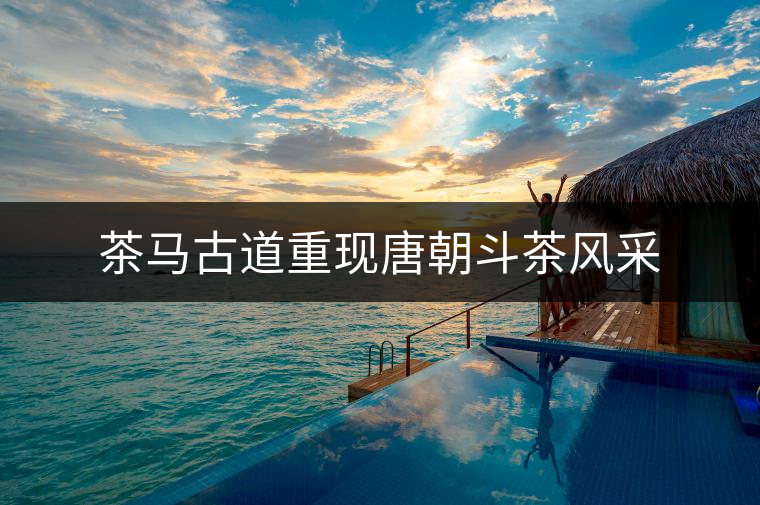 茶馬古道重現(xiàn)唐朝斗茶風(fēng)采