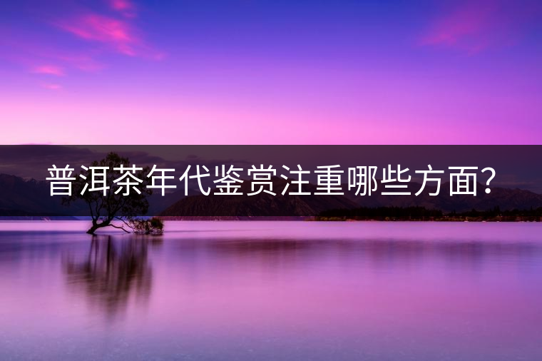 普洱茶年代鑒賞注重哪些方面？