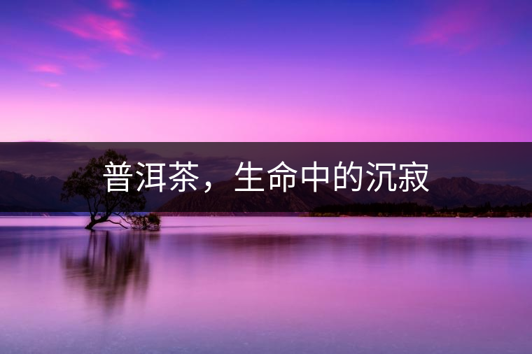 普洱茶，生命中的沉寂