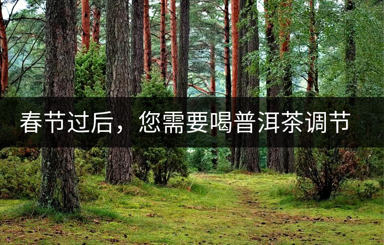 春節(jié)過后，您需要喝普洱茶調節(jié)身體