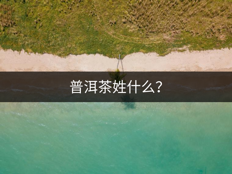 普洱茶姓什么？