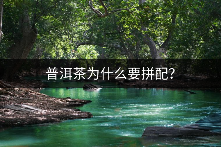 普洱茶為什么要拼配？