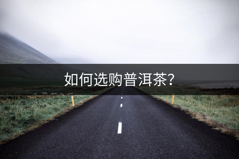 如何選購普洱茶？