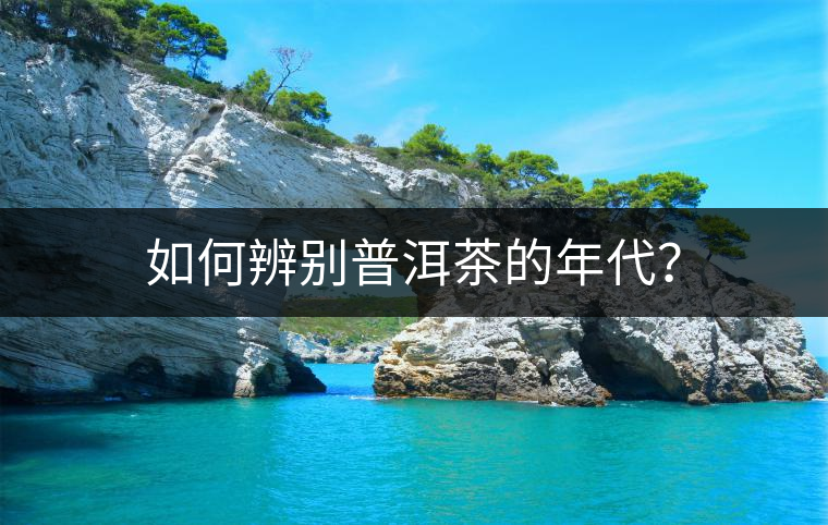 如何辨別普洱茶的年代？