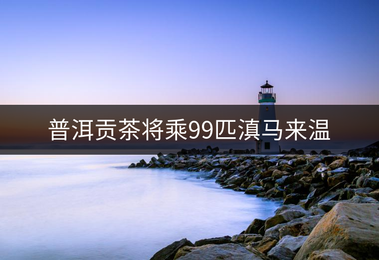 普洱貢茶將乘99匹滇馬來(lái)溫