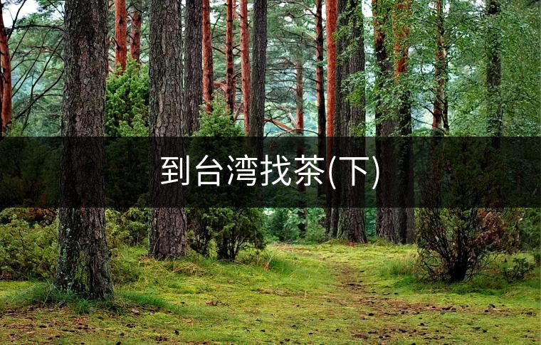 到臺灣找茶(下)